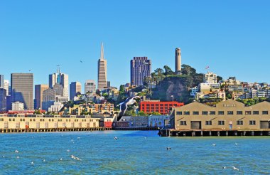San Francisco: skyline, seagulls and panoramic view of the city and the Bay clipart