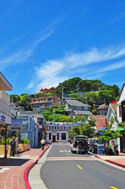 Tiburon, California: manzarası ve şehir görüntüsü