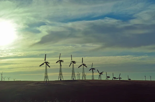 Behoud van het milieu en groene energie: panoramisch uitzicht van elektrische roterende turbines — Stockfoto