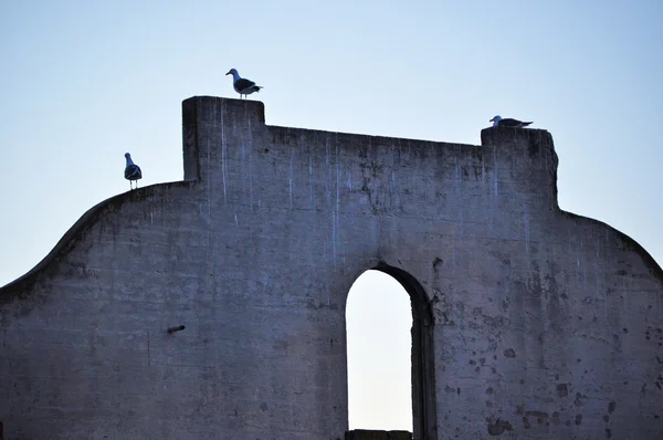 Alcatraz Island, California, Usa: seagulls on the ruins of the Social Hall (the Officer\'s Club), social venue for workers and families of the Alcatraz Federal Penitentiary, maximum security federal prison (1934-1963)