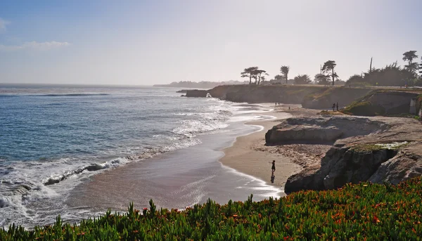 California, Estados Unidos de América, EE.UU.: la costa y la playa de Santa Cruz, ciudad en el Océano Pacífico famosa por la belleza natural de su costa y por sus playas internacionalmente consideradas el paraíso del surfista — Foto de Stock