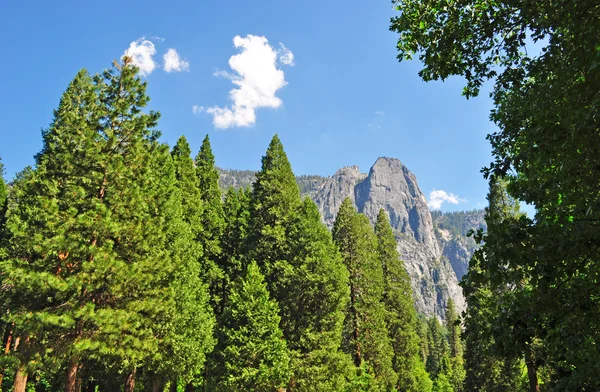 거 대 한 sequoias 및 화강암 절벽 요세미티 국립 공원, 그것의 화려한 화강암 절벽, 폭포, 서식 지 및 생물 다양성에 대 한 유명한 미국의 국립 공원 내에서 캘리포니아, 미국: 조감도 — 스톡 사진