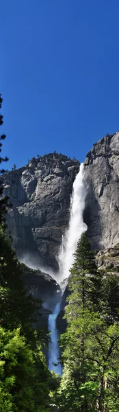 California, Usa: luchtfoto van reus Sequoia's en de Yosemite Falls, de hoogste waterval in Yosemite National Park, Amerikaans nationaal park beroemd om zijn granieten kliffen, watervallen en biologische diversiteit — Stockfoto