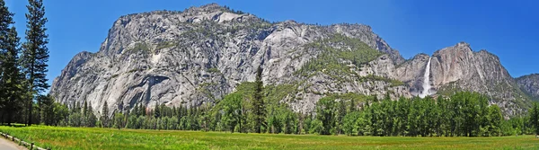 California, Usa: panoramic view of giant sequoias and Yosemite Falls, the highest waterfall within the Yosemite National Park, American national park famous for its spectacular granite cliffs, waterfalls, and biological diversity