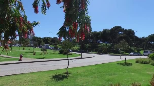 Tanger, Maroc - 22 avril 2016 : Jardins de La Mendoubia et Mosquée Sidi Bou Arrakia — Video