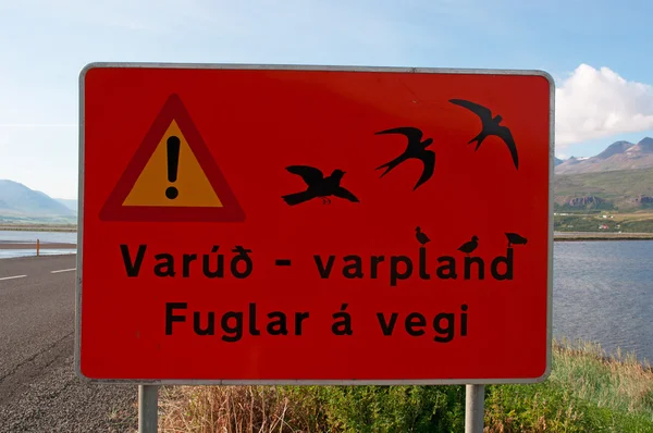 アークレイリのフィヨルドで鳥の移行のためのアイスランド: 警告サイン — ストック写真