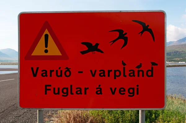 アークレイリのフィヨルドで鳥の移行のためのアイスランド: 警告サイン — ストック写真