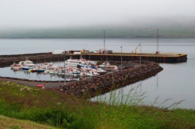 İzlanda: Faskrudsfjordur küçük liman 