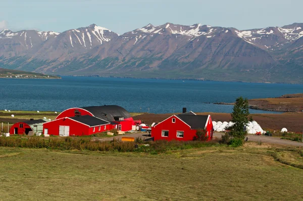 冰岛: 在冰岛农村的红色木结构房屋 — 图库照片