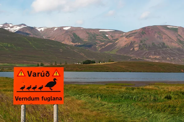 Islanda: segnale di avvertimento per il passaggio delle anatre nel fiordo di Akureyri — Foto Stock