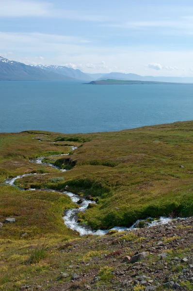 Islande : vue sur le paysage islandais avec un ruisseau coulant d'une falaise dans une cascade — Photo