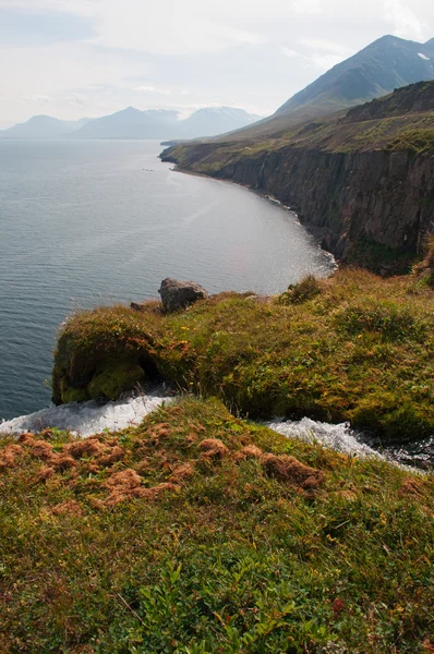 Iceland: view of Icelandic landscape with a stream flowing from a cliff into a waterfall — Stock Photo, Image