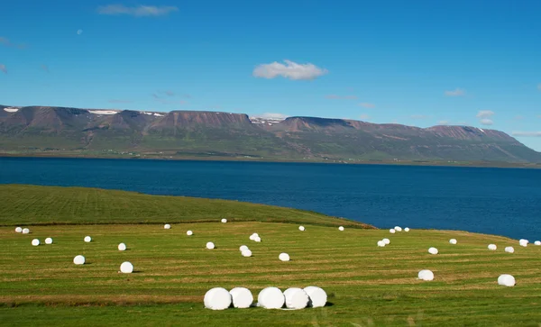 Iceland: packed haystacks and the fjord of Akureyri — Stock Photo, Image
