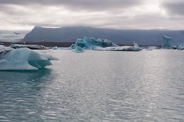 Islândia, Europa: icebergs flutuantes na lagoa do glaciar Jokulsarlon, um grande lago glacial no sudeste da Islândia, na borda do Parque Nacional Vatnajokull desenvolvido depois que a geleira recuou da borda do Oceano Atlântico — Fotografia de Stock