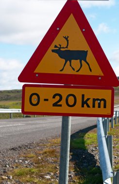 İzlanda: elk yol için bir uyarı işareti 