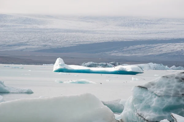 Islandia, Europa: icebergs flotantes en la laguna glaciar Jokulsarlon, un gran lago glaciar en el sureste de Islandia, en el borde del Parque Nacional Vatnajokull se desarrolló después de que el glaciar retrocediera desde el borde del Océano Atlántico —  Fotos de Stock