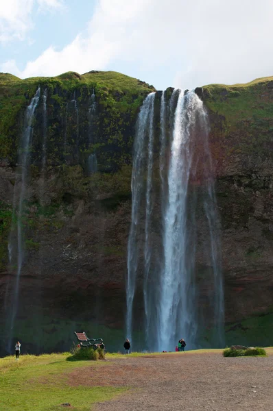 Island: vodopád Seljalandsfoss — Stock fotografie
