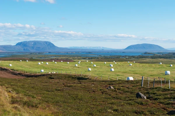 冰岛：冰岛景观中拥挤的干草堆 — 图库照片