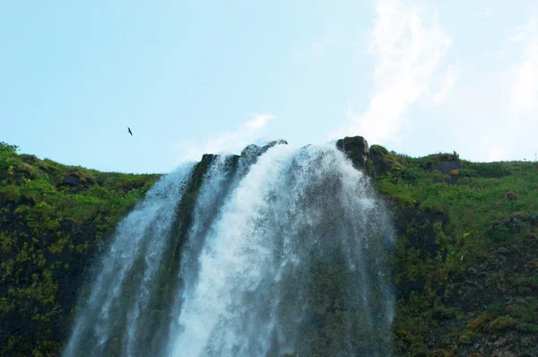 Island: horní pád vodopádu Seljalandsfoss — Stock fotografie