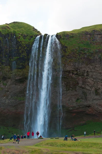 Island: vodopád Seljalandsfoss — Stock fotografie