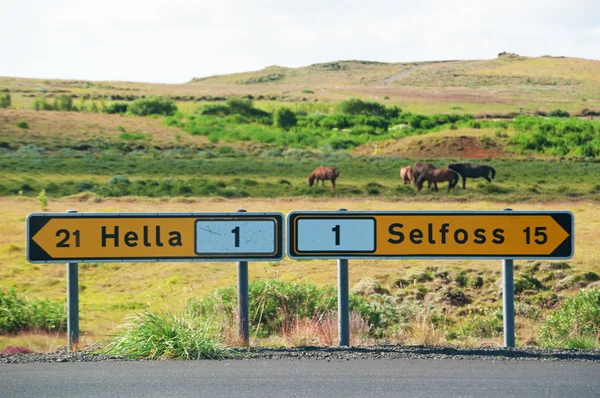 Islandia: di jalan, tanda-tanda arah untuk kota-kota Hella dan Selfoss dengan kuda di pedesaan — Stok Foto