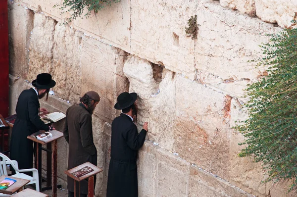 Иерусалим: Евреи молятся у Стены Плача — стоковое фото