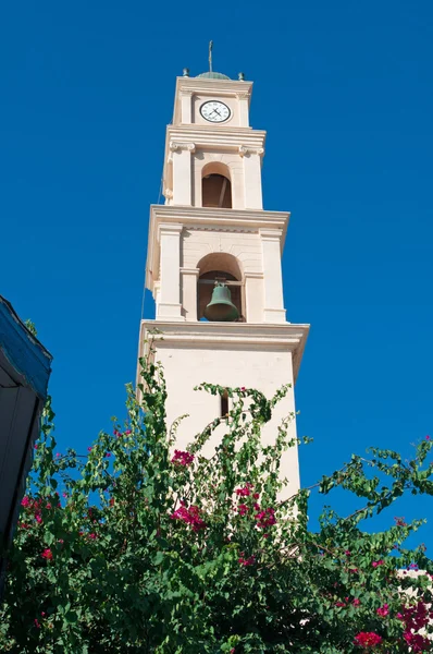 Jaffa, Old City, Israel, Mellanöstern: ett träd med utsikt över den bell tower av St. Peter's Church, en franciskanska kyrkan byggt 1654 på toppen av den äldsta delen av Tel Aviv Yafo — Stockfoto