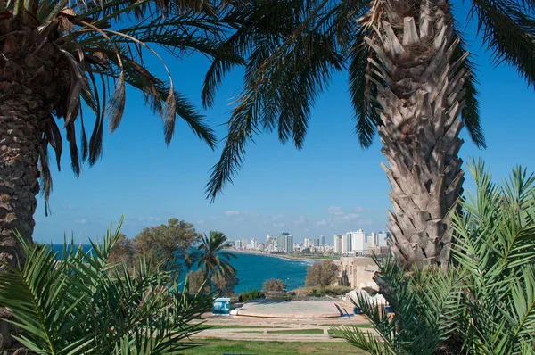 Tel Aviv, Izrael, Blízký východ: nábřeží a Panorama Tel Avivu se Středozemním mořem, vidět skrze listy palmy z vrcholu kopce staré město Jaffa, Jižní a nejstarší část města Tel Aviv-Yafo — Stock fotografie