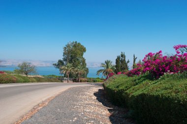 Israel, Middle East: the gardens of the Mount of Beatitudes overlooking the Sea of Galilee, holy place for christianity on a hill where Jesus is believed to have delivered the Sermon on the Mount  clipart