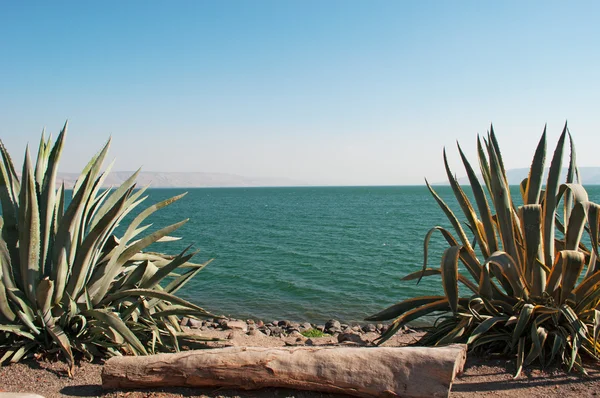 Israel, Middle East: view of the Lake Tiberias, the lowest freshwater lake on Earth, quoted in the Scripture as the place of miraculous catch of fish and Jesus walking on water — Stock Photo, Image