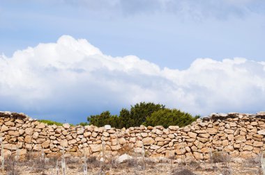 Formentera, Balear Adaları, İspanya: bir toprak yol, taştan bir duvar ve Balear kırsalında Akdeniz maki