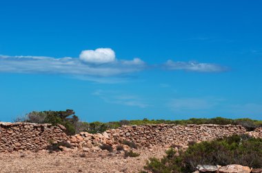 Formentera, Balear Adaları, İspanya: bir toprak yol, taştan bir duvar ve Balear kırsalında Akdeniz maki