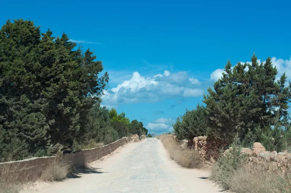 Formentera, Baleárské ostrovy, Španělsko: polní cestě, kamenné zdi a středomořské makchie Baleárské venkově — Stock fotografie