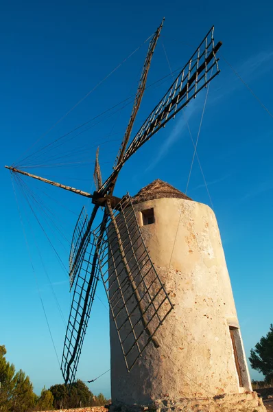 Formentera, Balearic Islands, Spain: sunset at the Moli Vell de La Mola, an old windmill built in 1778, the best preserved of the island Stock Picture