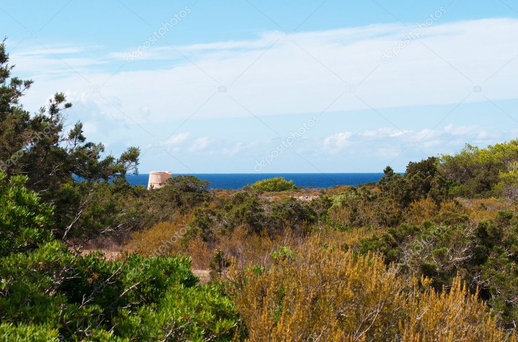 Formentera, Balearic Islands, Spain: view of the Mediterranean Sea and maquis with the Gavina Tower, a watchtower built in 1763 to control the west coast of the island