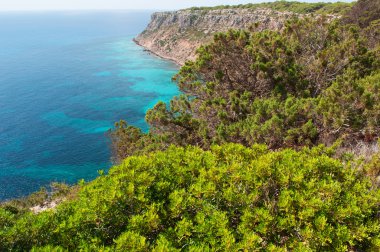 Formentera, Balear Adaları, İspanya: Akdeniz ve La Mola cliff adanın uzak doğu ucundaki Marnixkade maquis ile nefes kesici manzara havadan görünümü 