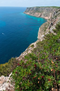 Formentera, Balear Adaları, İspanya: Akdeniz ve La Mola cliff adanın uzak doğu ucundaki Marnixkade maquis ile nefes kesici manzara havadan görünümü 