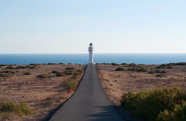 Formentera, Isole Baleari, Spagna, Mar Mediterraneo, macchia mediterranea e vista panoramica sulla strada per il faro di Es Cap de Barbaria — Foto Stock