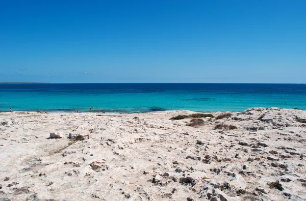 Formentera, Balearic Islands, Spain: aerial view of the breathtaking beach of Platja (or Playa) de Llevant, on the eastern side of the Trucador peninsula, one of the most famous and quiet beaches of the island — Stock Photo, Image