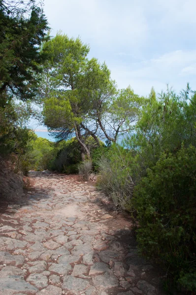 Formentera, Balearic Islands, Spain: the stone path of Camino Romano, or Cami de Sa Pujada, an ancient Roman road which lead trough a beautiful landscape from Es Calo to La Mola — Stock Photo, Image