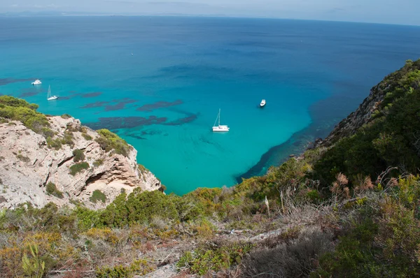 西班牙巴利阿里群岛福门特拉: 地中海双体船和快艇的地中海马奎斯景观 — 图库照片