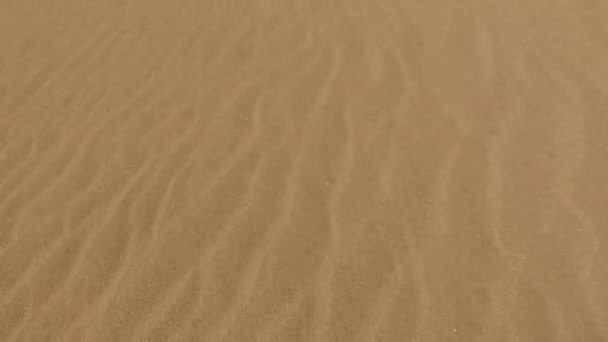 Desert sand dunes, zand korrels, Corralejo natuurpark. Fuerteventura. Canarische eilanden — Stockvideo