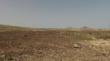 Panoramik görünüm, tepe, çöl, Parque Hollandes, Fuerteventura. Kanarya Adaları