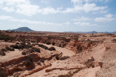Fuerteventura, Kanarya Adaları, İspanya: havadan görünümü Barranco de Los Encantados (Kanyonu mutlu olanlar), ayrıca denilen Barranco de los Enamorados (Kanyon aşıkların), adanın kuzeybatısındaki küçük bir kanyonda
