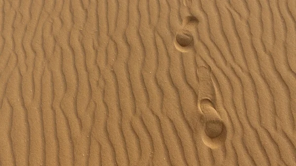 Kumul üzerinde ayak izleri, kum taneleri, Corralejo, doğal park — Stok fotoğraf