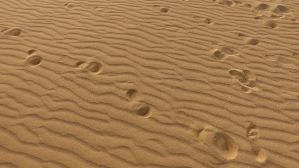 Сліди на піщаній дюні, зерна піску, Corralejo, природний парк — стокове фото