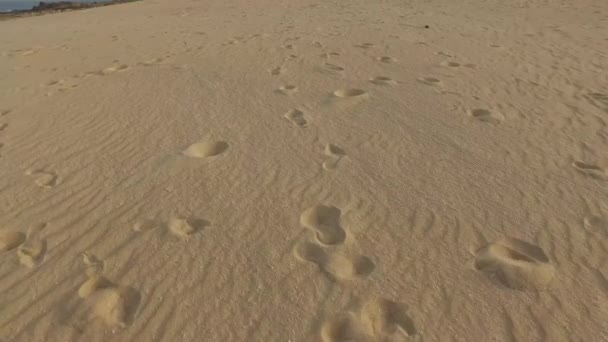 Dunas de areia do deserto, grãos de areia, Parque Natural do Corralejo, 30 de agosto de 2016. Fuerteventura. Ilhas Canárias — Vídeo de Stock