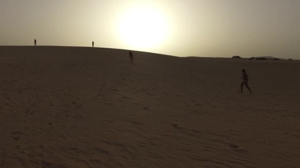 Çöl kum tepeleri, kum taneleri, Corralejo Doğal Parkı, 30 Ağustos 2016 . Fuerteventura. Kanarya Adaları — Stok video