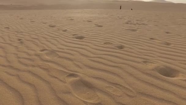 Sivatagi homokdűnék, homokszemek, Corralejo természeti park, augusztus 30, 2016. Fuerteventura. Kanári-szigetek — Stock videók