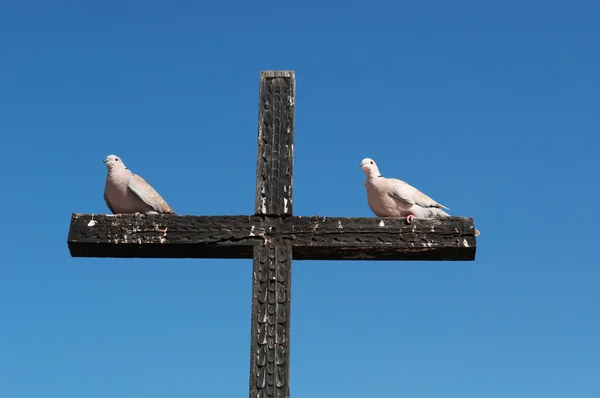 Fuerteventura, Islas Canarias, España: dos palomas en una cruz de madera en Betancuria, la primera ciudad fundada por colonizadores españoles en 1405, cuyo nombre proviene del normando Juan de Bethencourt — Foto de Stock